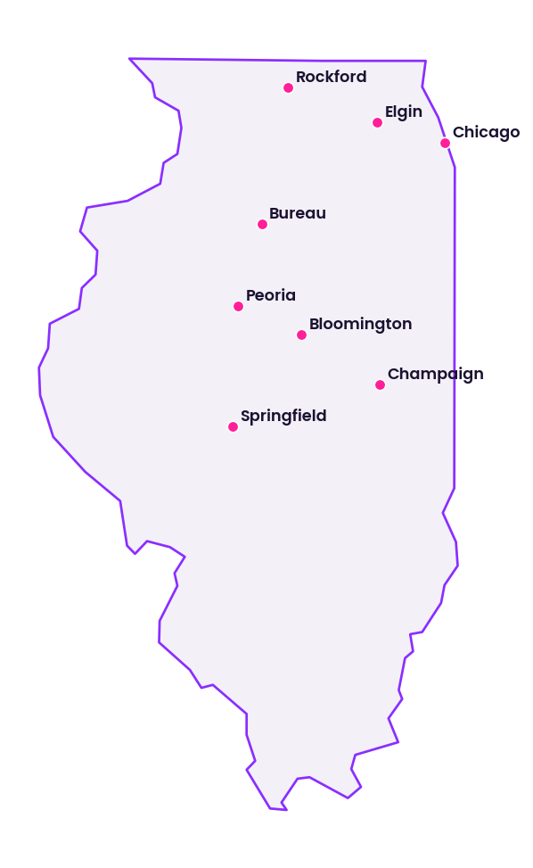 Map of Illinois showing the cities discussed in this review