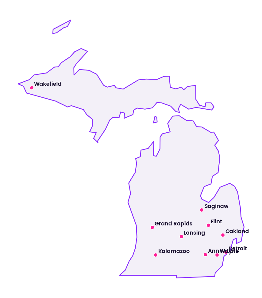 Map of Michigan showing the cities discussed in this review