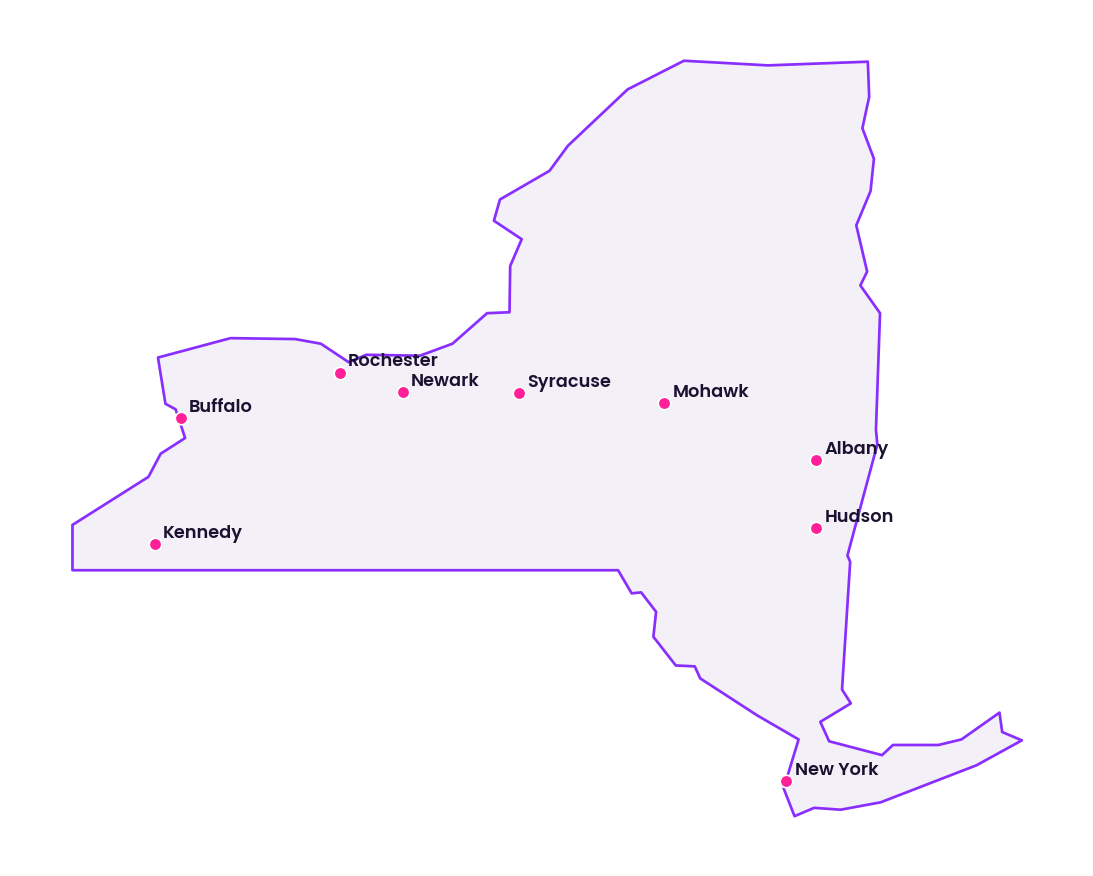 Map of New York showing the cities discussed in this review